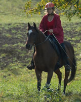 Ausritt im Gelände: Rih - ein Pferd mit PSSM